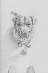 pencilSketchPet