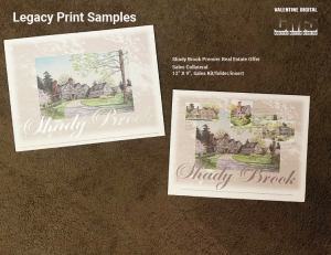 Shady Brook Premier Real Estate Offer Sales Collateral