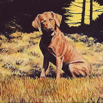 Pet Clancy